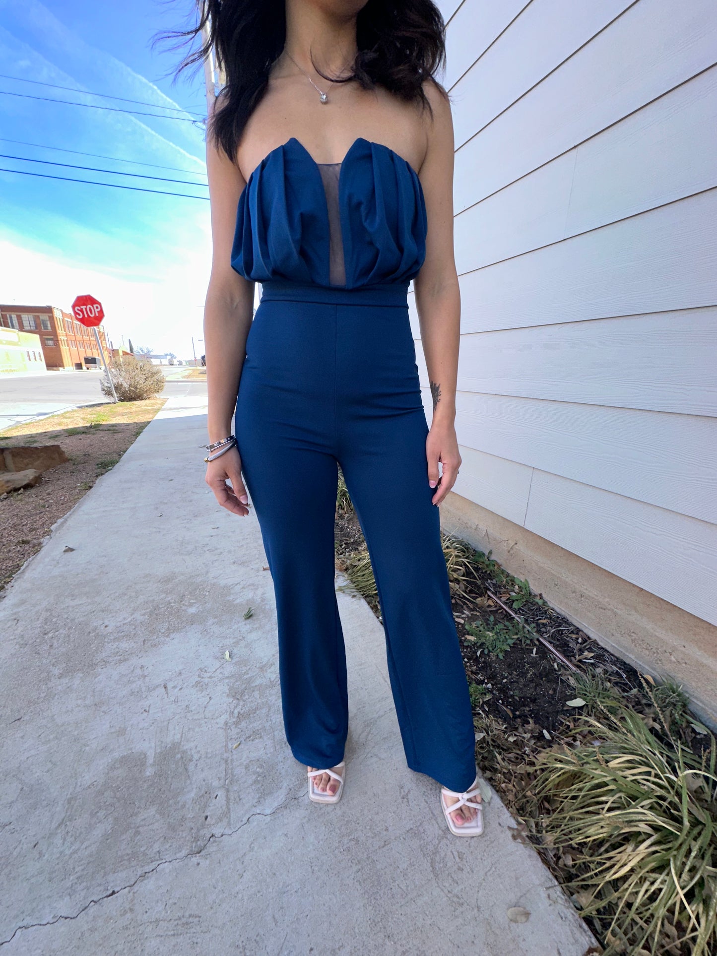 Pleated Mesh Jumpsuit