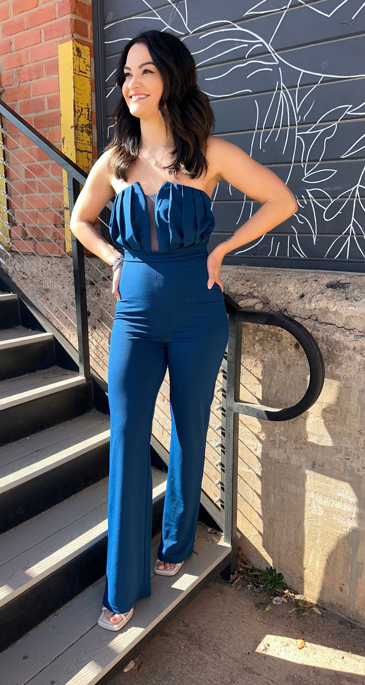 Pleated Mesh Jumpsuit